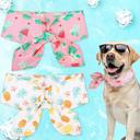 EXPAWLORER Dog Cooling Bandana - Summer Dog Bandanas with Ice Bag & Thermal Insulation Layer, Reusable Freezing Gel Cool